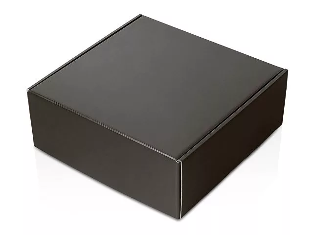 Коробка подарочная «Raven», L, черная, вн. размер 260х260х100 мм.