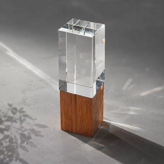 Награда "Wood and glass"