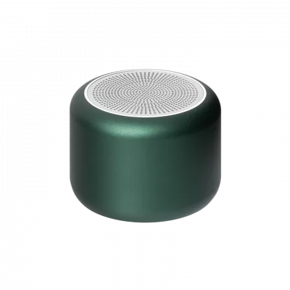 Беспроводная колонка Пэшн (Passion) 80dB 600 mAh (Bluetooth 5.4), зеленая