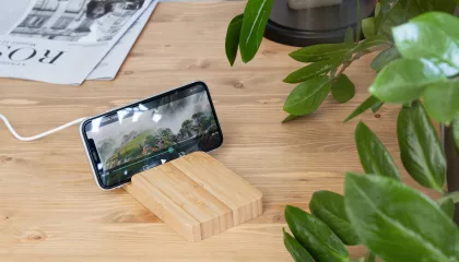 Беспроводное (10W) зарядное устройство "Bamboo Power" 5000 mAh с подставкой под смартфон, бамбук, бежевый, фото 2