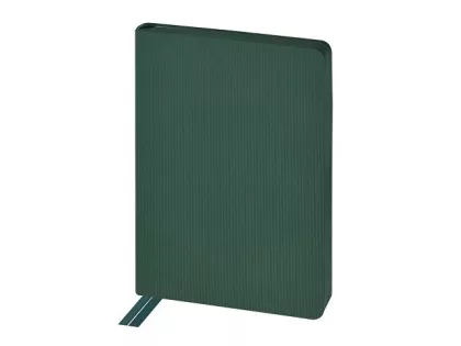 Ежедневник А5 «Megapolis Slim flex», зеленый, фото 3