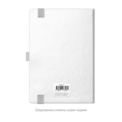 Ежедневник Альфа (Alpha) недатированный, серебро/серый, фото 9