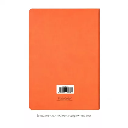 Ежедневник Латте (Latte NEW) недатированный, оранжевый/оранжевый, фото 13