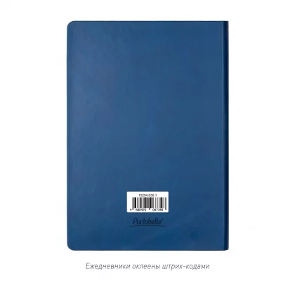 Ежедневник Латте (Latte NEW) недатированный, синий/голубой (без упаковки, без стикера), фото 10