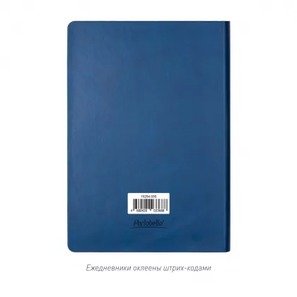 Ежедневник Латте (Latte NEW) недатированный, синий/голубой, фото 11
