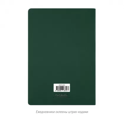 Ежедневник Латте софт-тач (Latte soft touch) недатированный, зеленый, фото 13