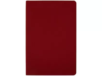 Ежедневник недатированный А5 "Megapolis Color Flex New", бордовый, фото 4