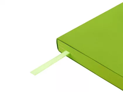 Ежедневник недатированный А5 "Megapolis Color Flex New", салатовый, фото 6