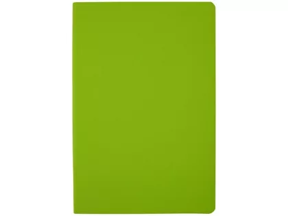 Ежедневник недатированный А5 "Megapolis Color Flex New", салатовый, фото 4