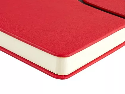 Ежедневник недатированный А5 "Status", красный, фото 5