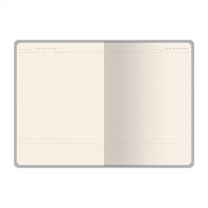 Ежедневник недатированный А6 "Фаворит", синий, фото 3