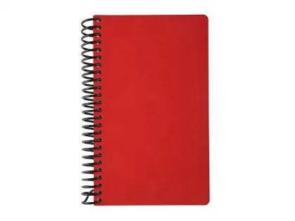 Ежедневник недатированный на спирали А5 "Agenda", красный (Р), фото 6