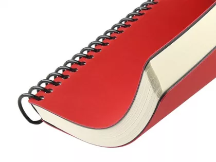 Ежедневник недатированный на спирали А5 "Agenda", красный (Р), фото 5