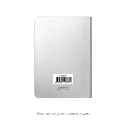 Ежедневник Спарк мини (Spark mini) A6 недатированный, серебряный, фото 14