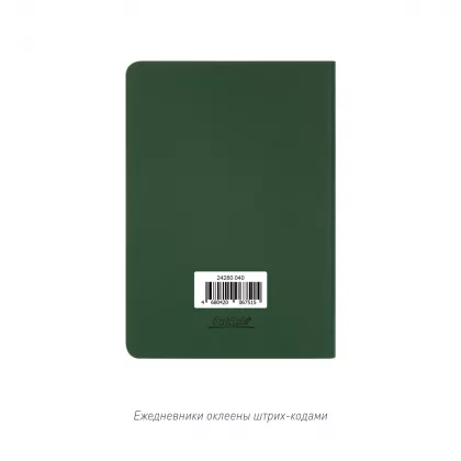 Ежедневник Спарк мини (Spark mini) A6 недатированный, зеленый, фото 8