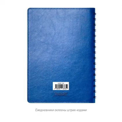 Ежедневник Виста Нео (Vista Neo) недатированный, ярко-синий, фото 11
