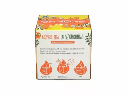 Набор для выращивания "Экокуб Magicme "Бархатцы", фото 4
