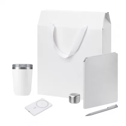 Подарочный набор Велком Пак Премиум (Welcome Pack Premium), серебряный (термокружка, колонка, ежедневник, ручка, ЗУ, коробка-пакет)