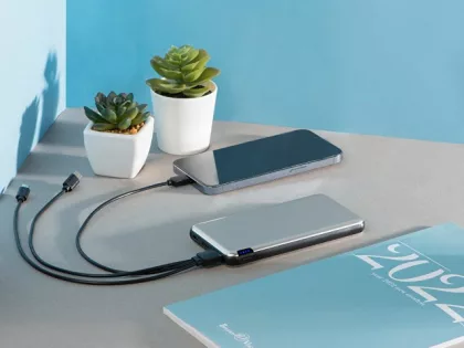 Внешний аккумулятор Forge, Evolt, металл, 10000mah, белый (P), фото 10