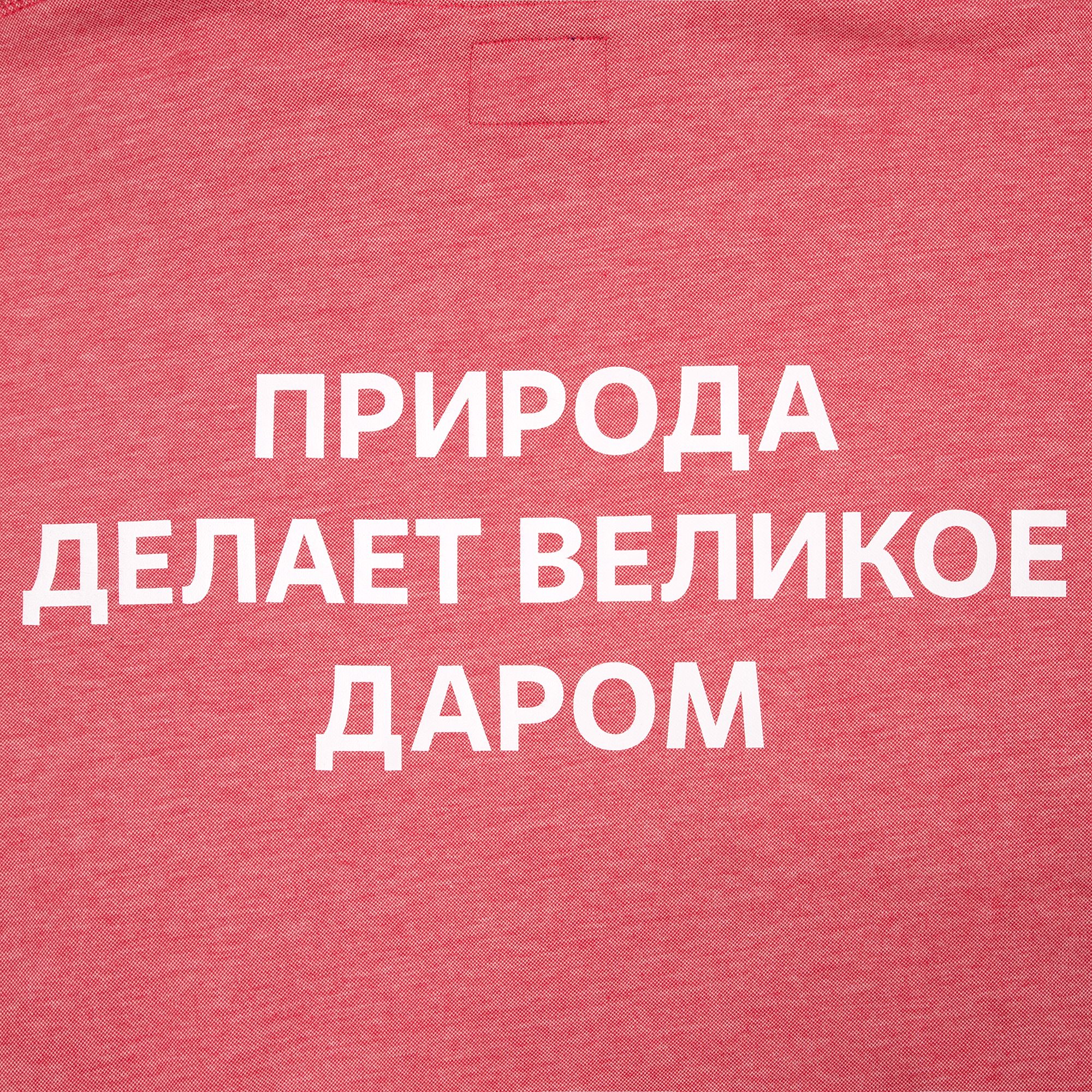 DTF4: Полноцвет с трансфером
