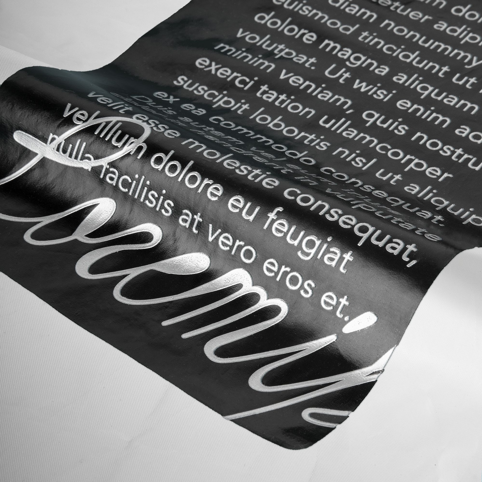 B3: Шелкография на текстиль