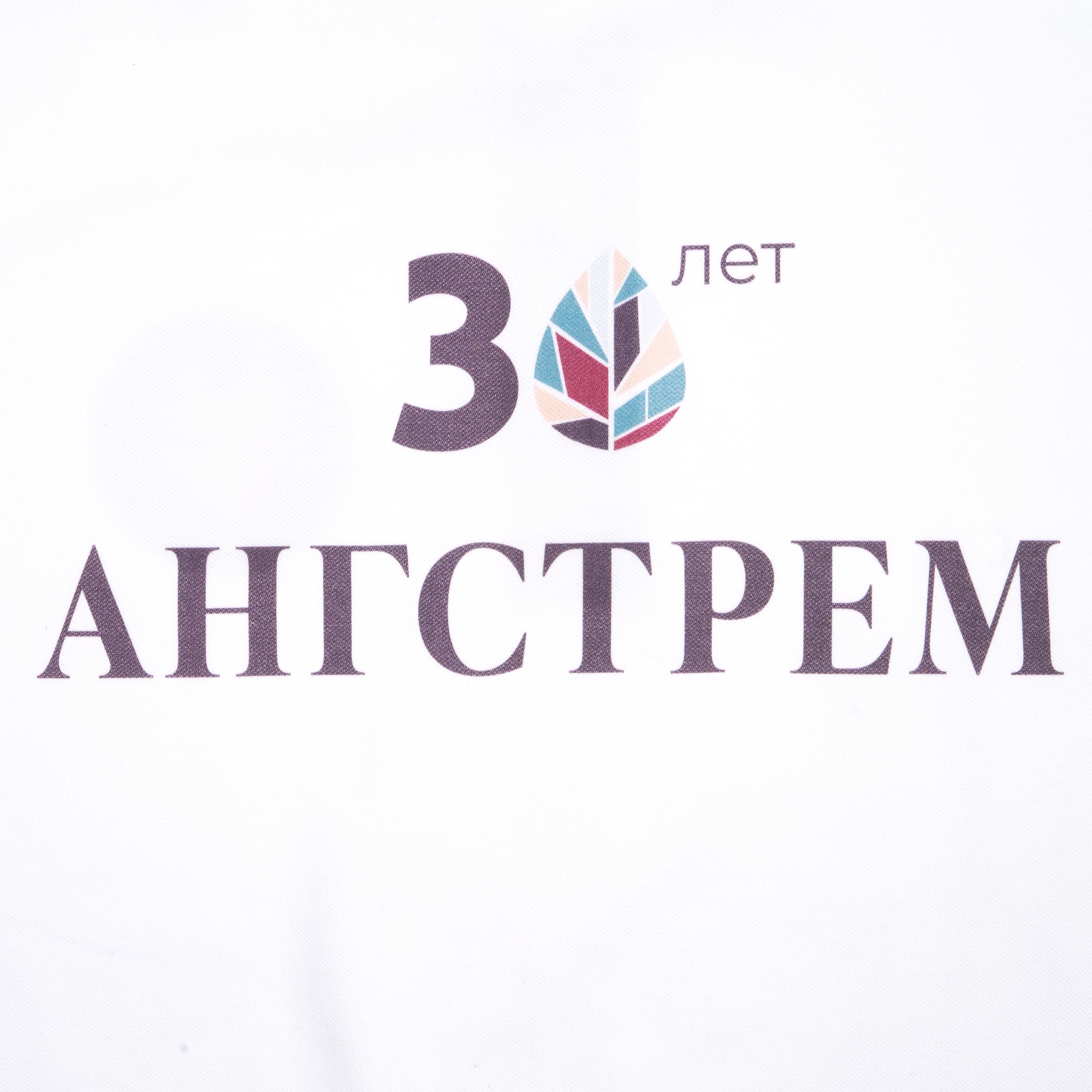 DTG2: Полноцвет водными чернилами