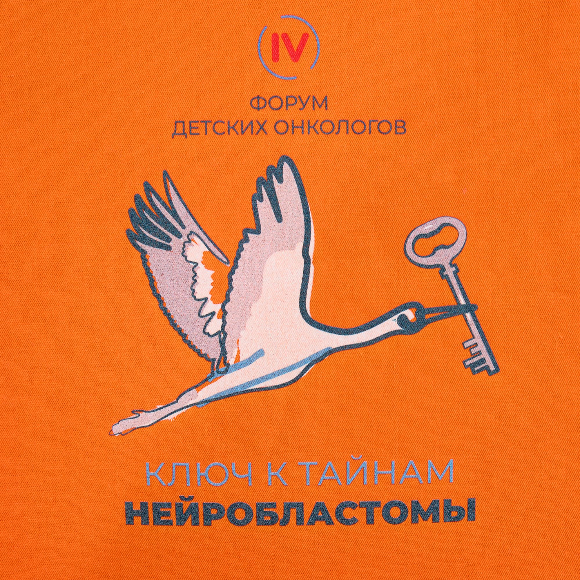 DTF1: Полноцвет с трансфером