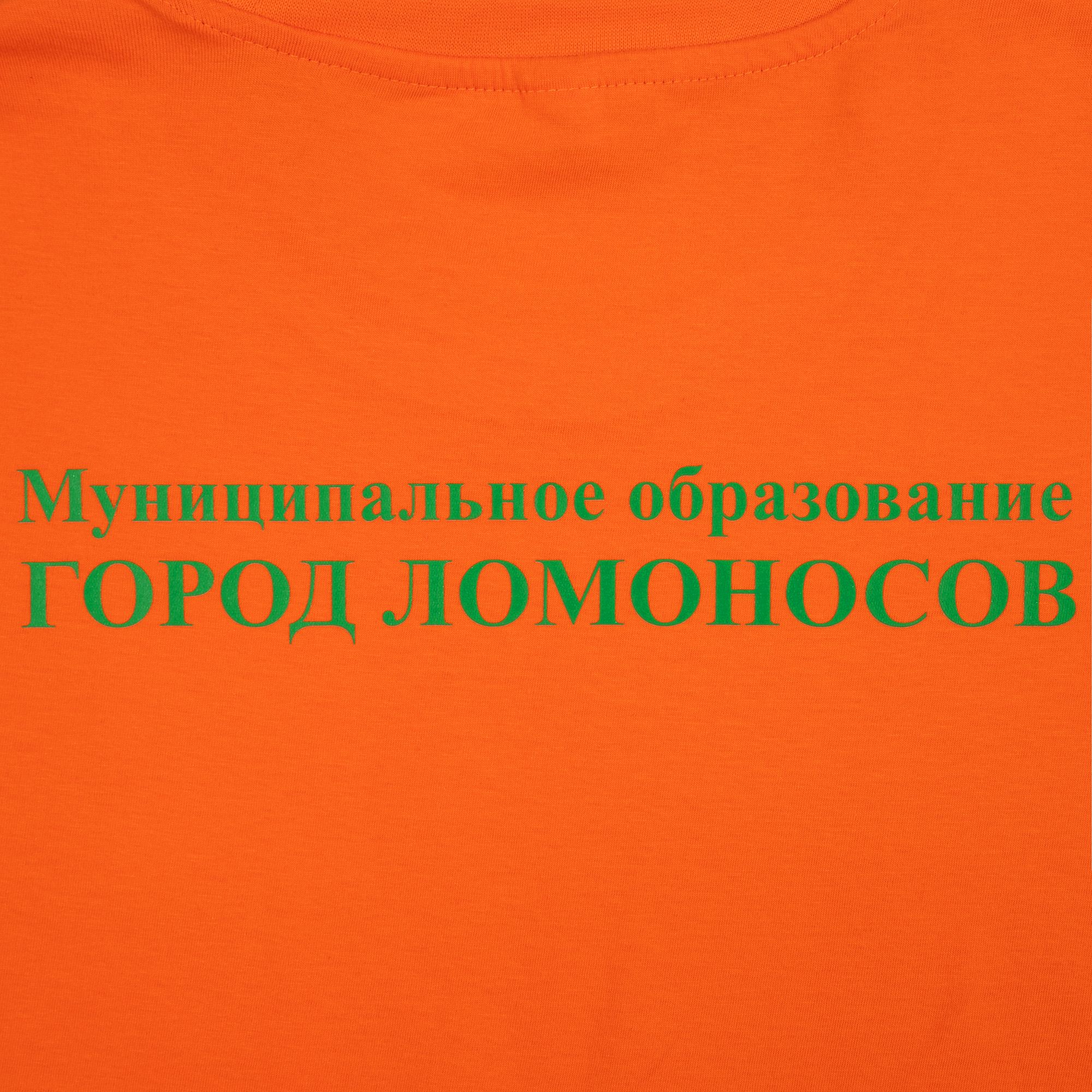 D1: Шелкография с трансфером