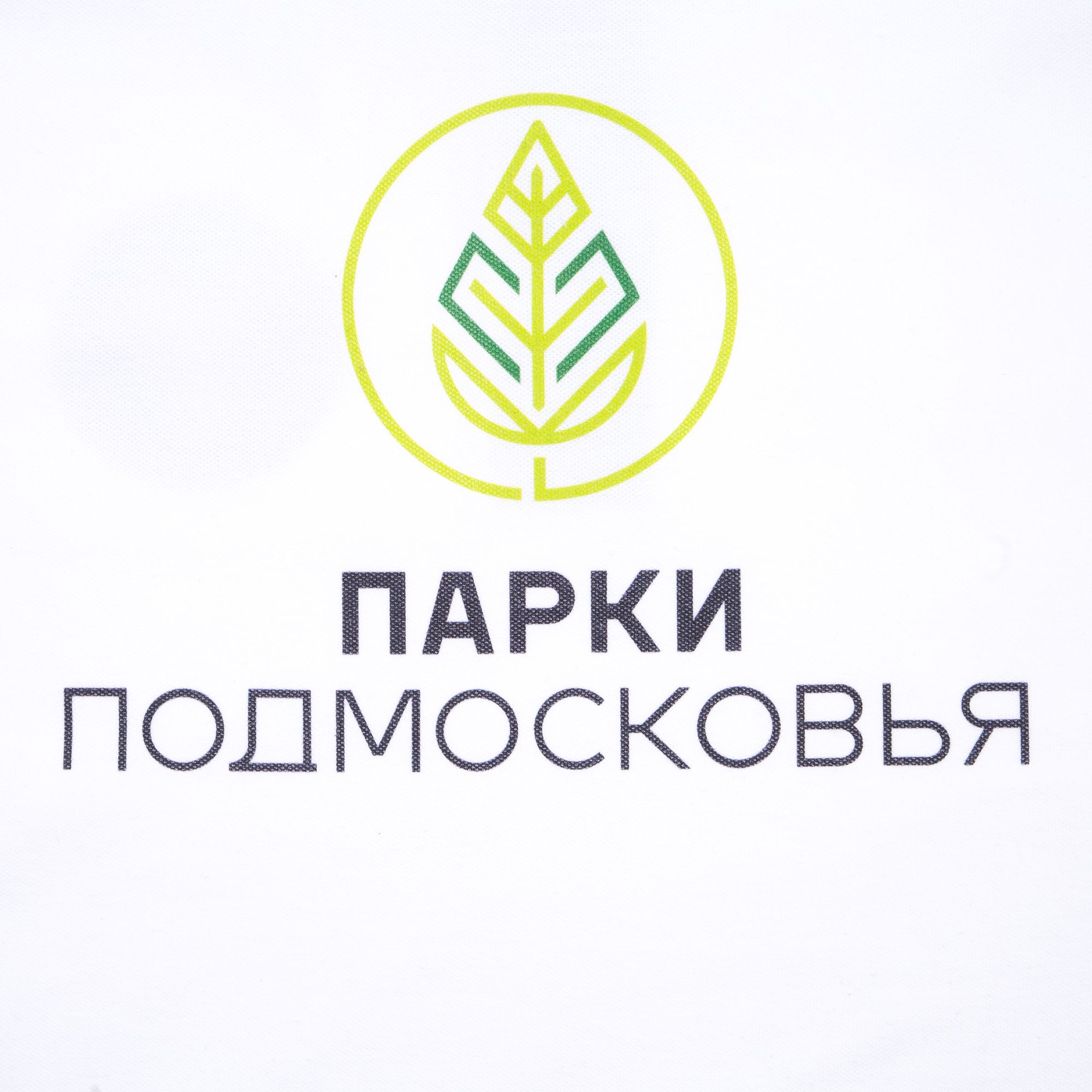 DTG2: Полноцвет водными чернилами