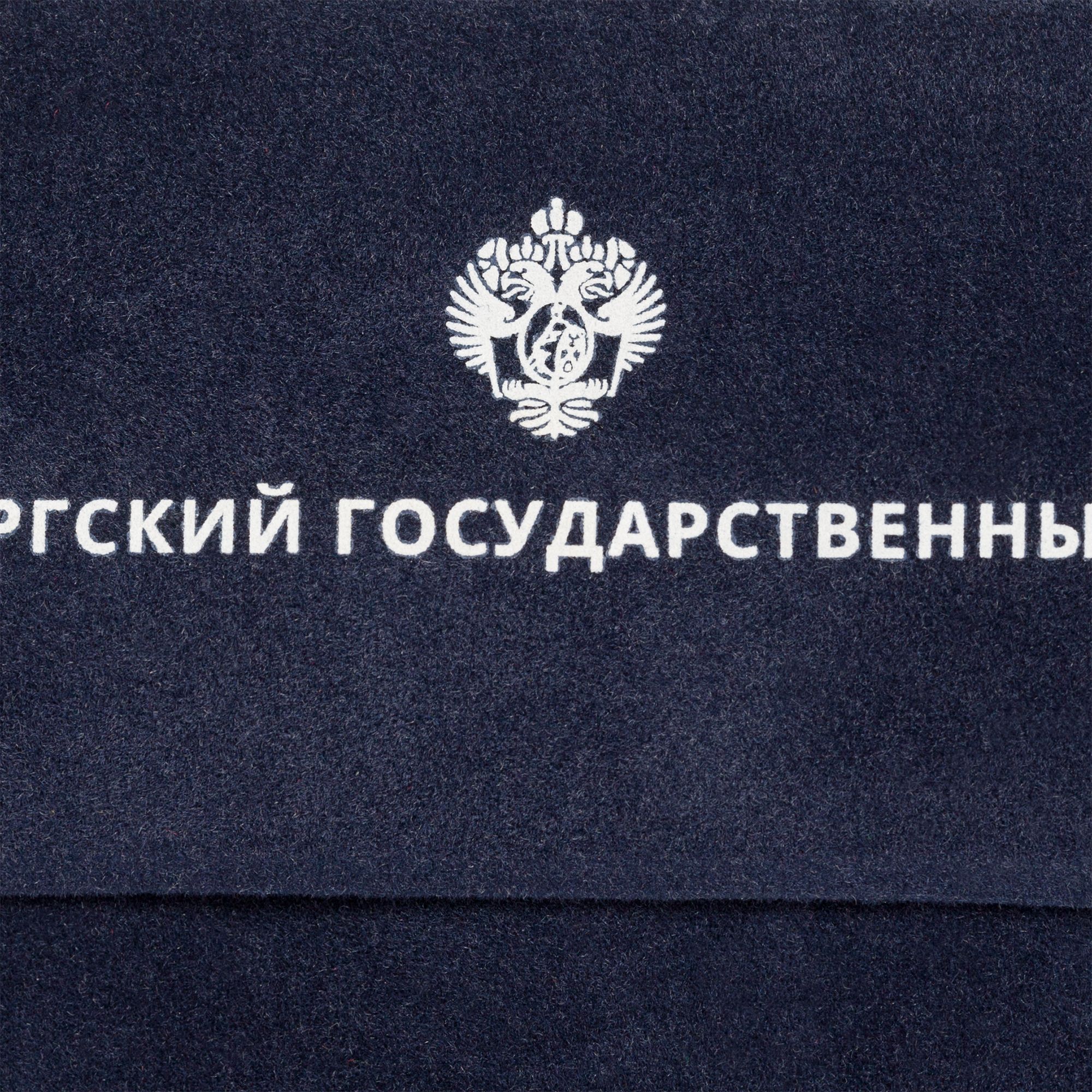D2: Шелкография с трансфером