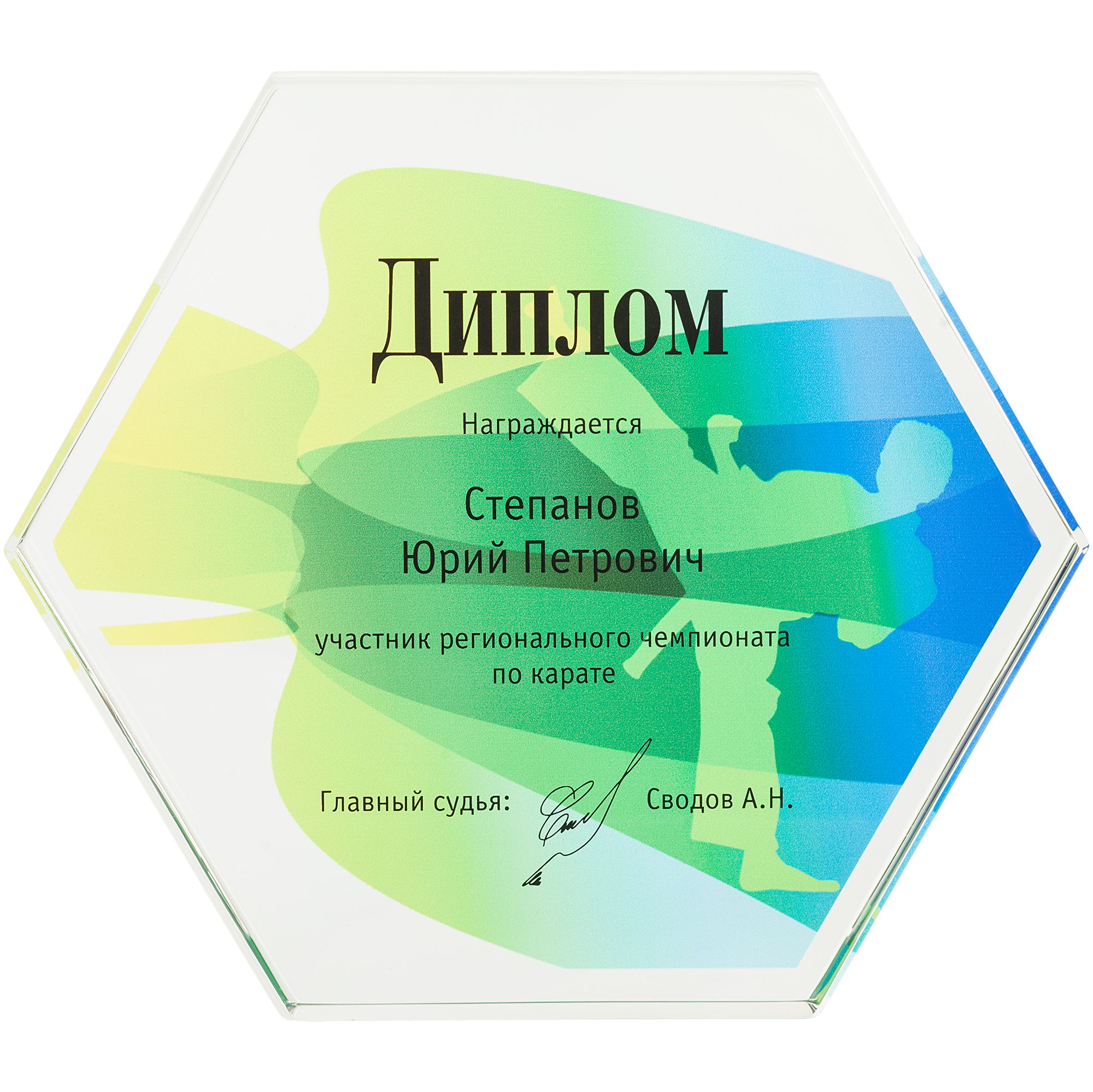 SH3: Шелкография (1 цвет)