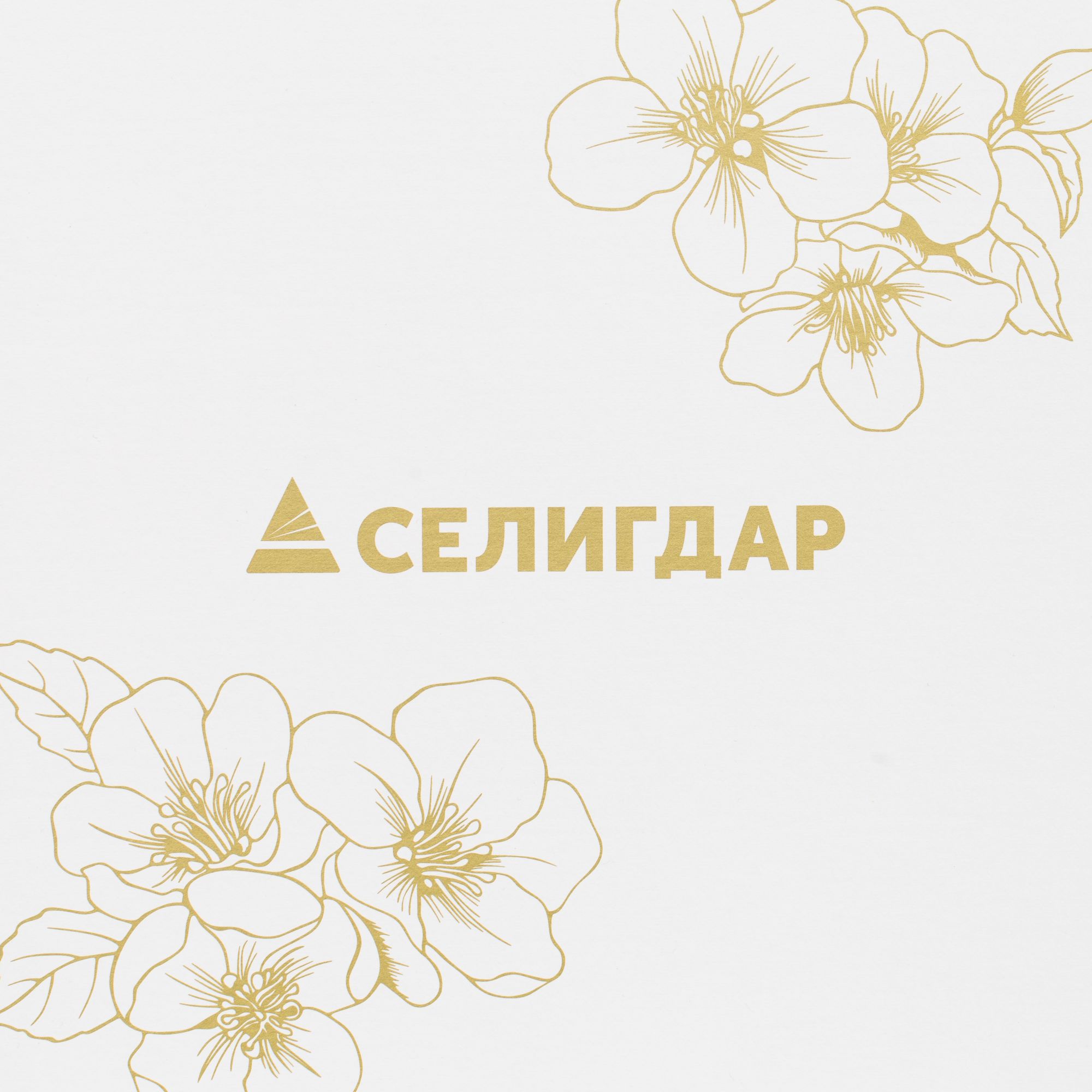SH3: Шелкография (1 цвет)