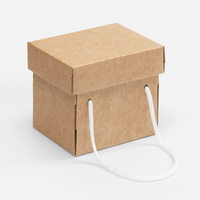 Коробка Kitbag, ver.2, крафт, фото 1