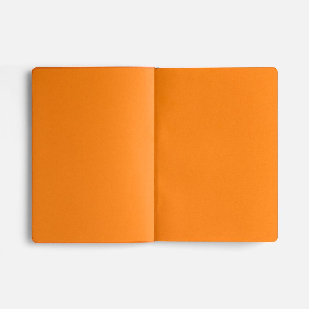 Ежедневник Doppio, недатированный, синий с оранжевым, фото 9
