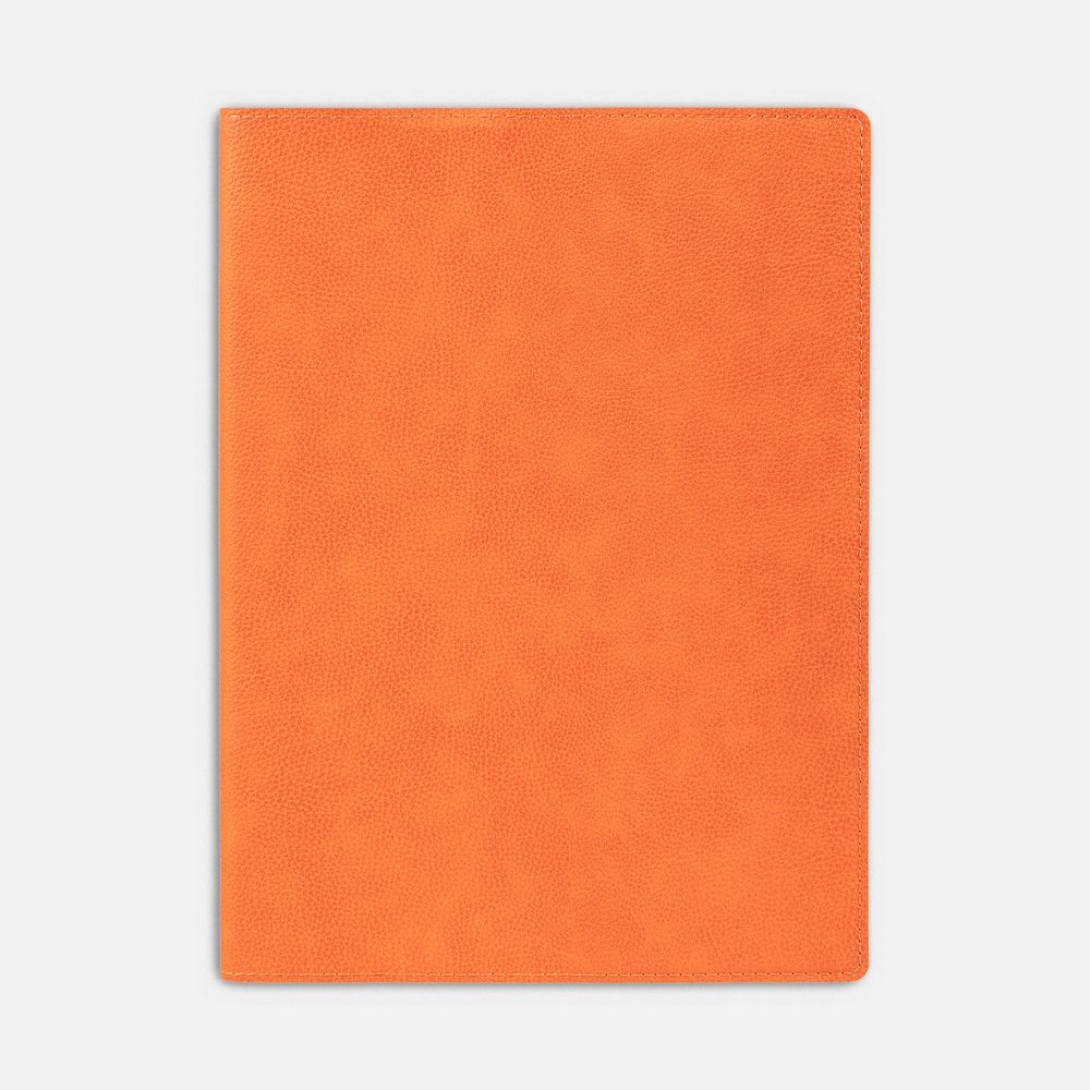 Ежедневник в суперобложке Brave Book, недатированный, оранжевый, фото 2