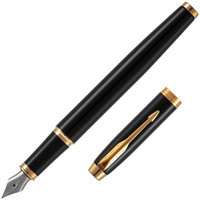 Ручка перьевая Parker IM Black GT, фото 1