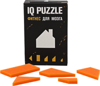 Головоломка IQ Puzzle, домик, фото 1